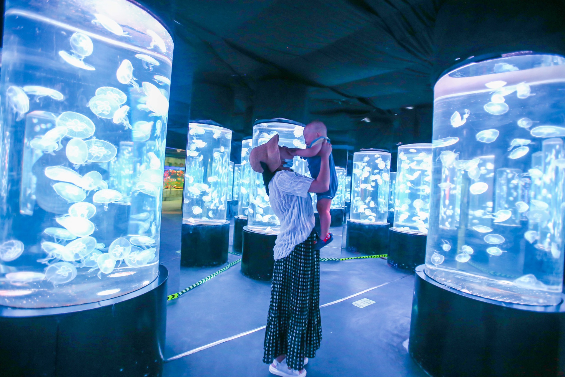 大连老虎滩海洋公园-珊瑚馆