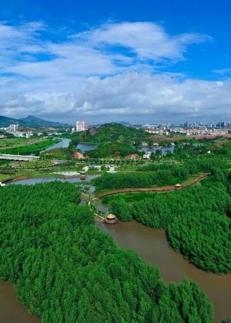 媽廟村東昇漁村▲衙前灣海鮮飯店小桂綠道碧海灣旅遊度假區仲愷高新區