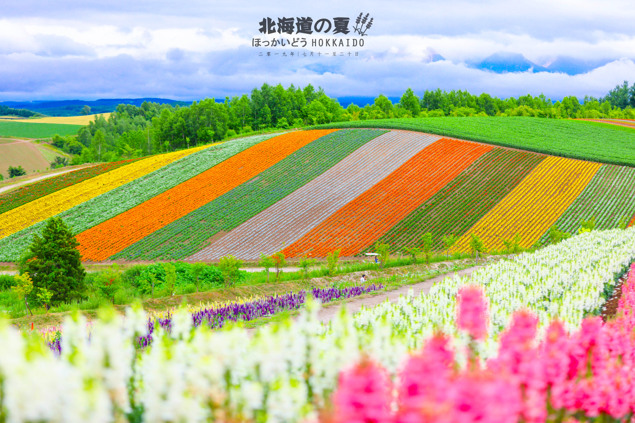 北海道自助遊攻略