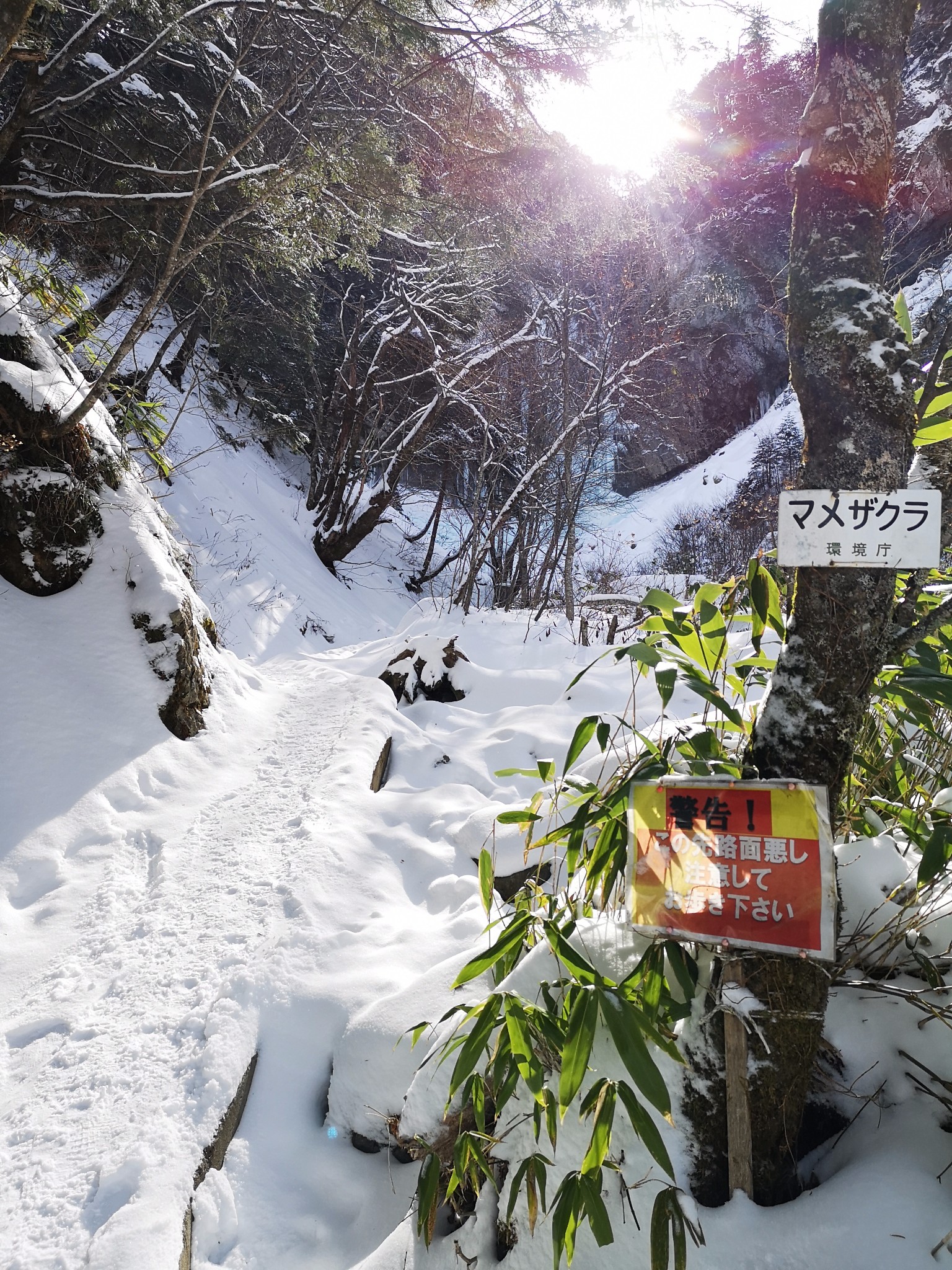 名古屋自助遊攻略