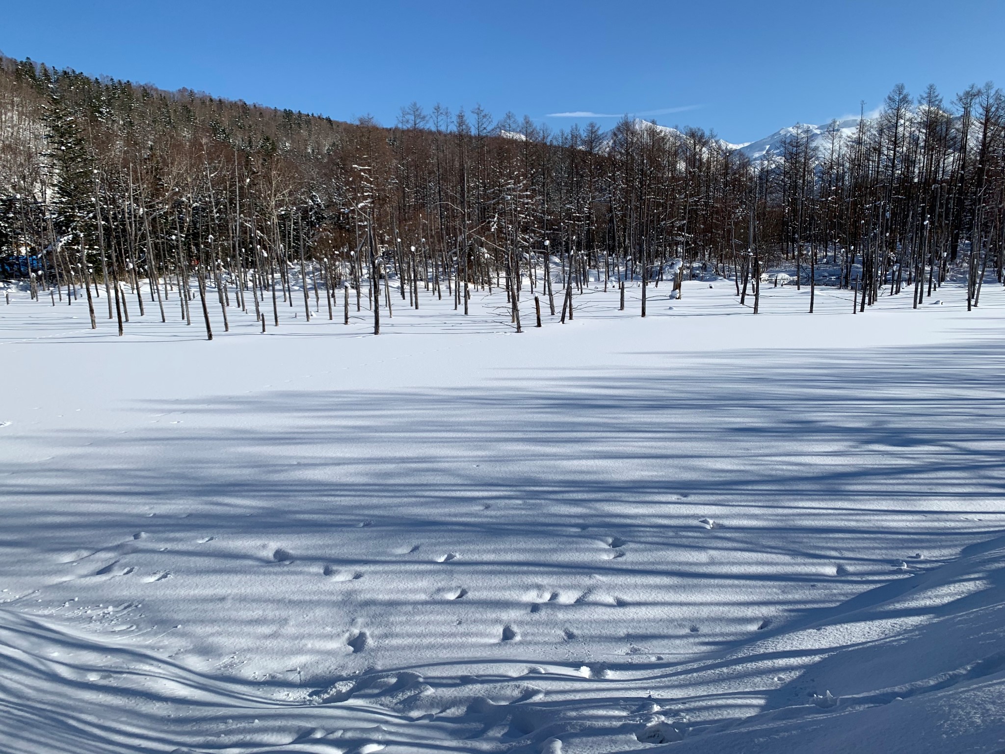 北海道自助遊攻略