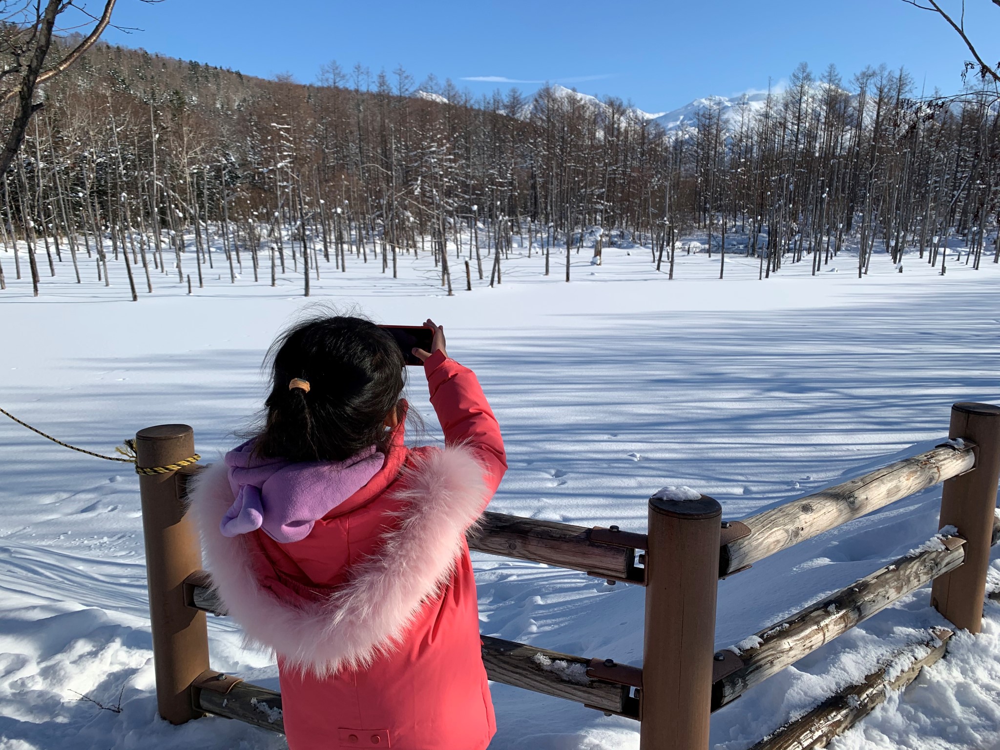 北海道自助遊攻略