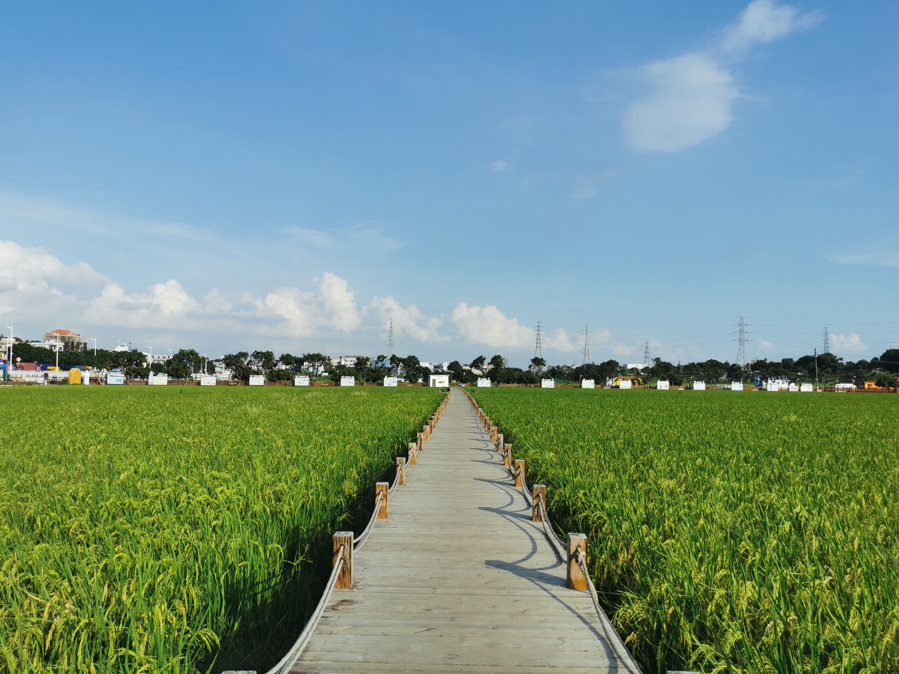 东莞上元稻田公园攻略,上元稻田公园门票_地址,上元稻田公园游览攻略