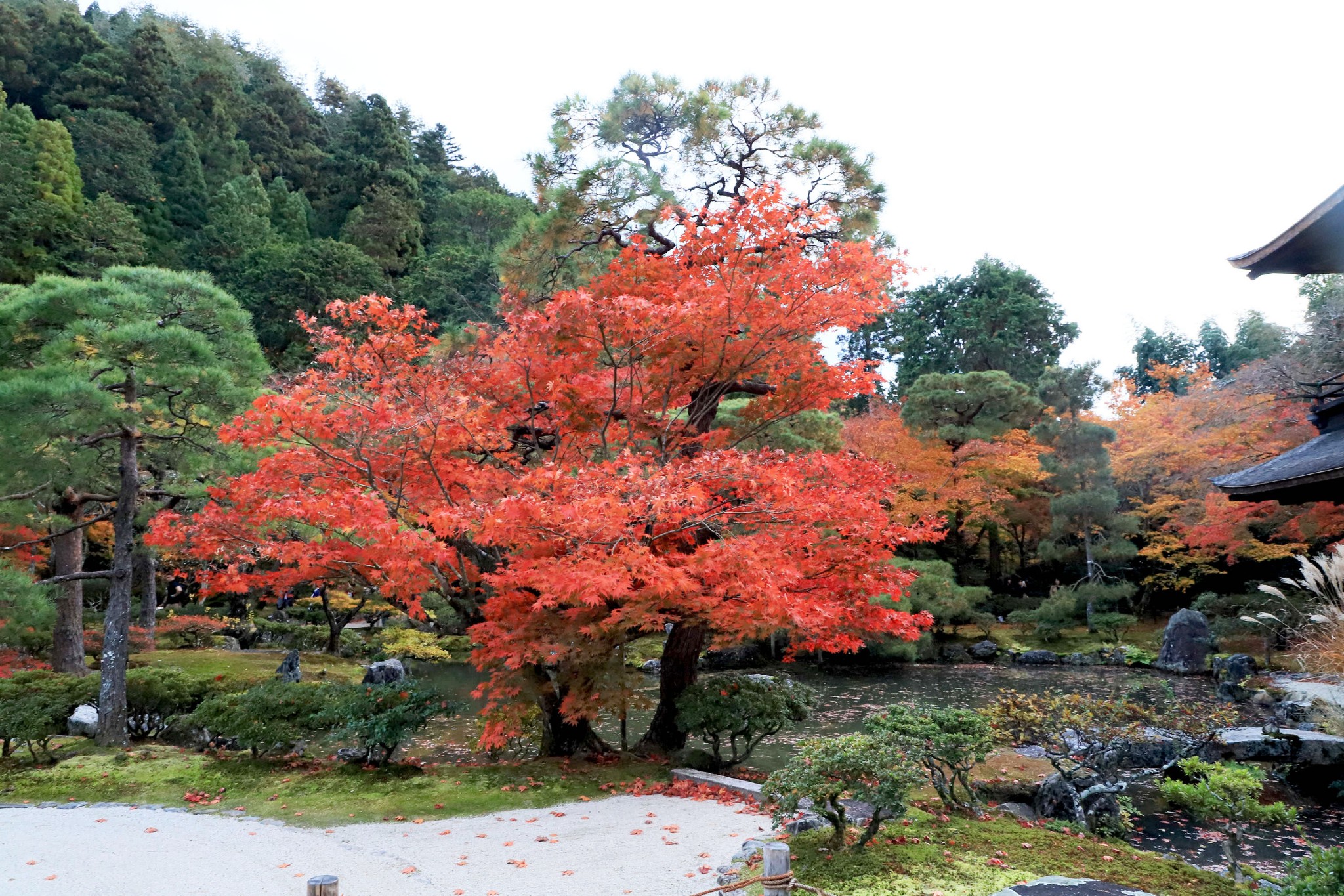 京都自助遊攻略