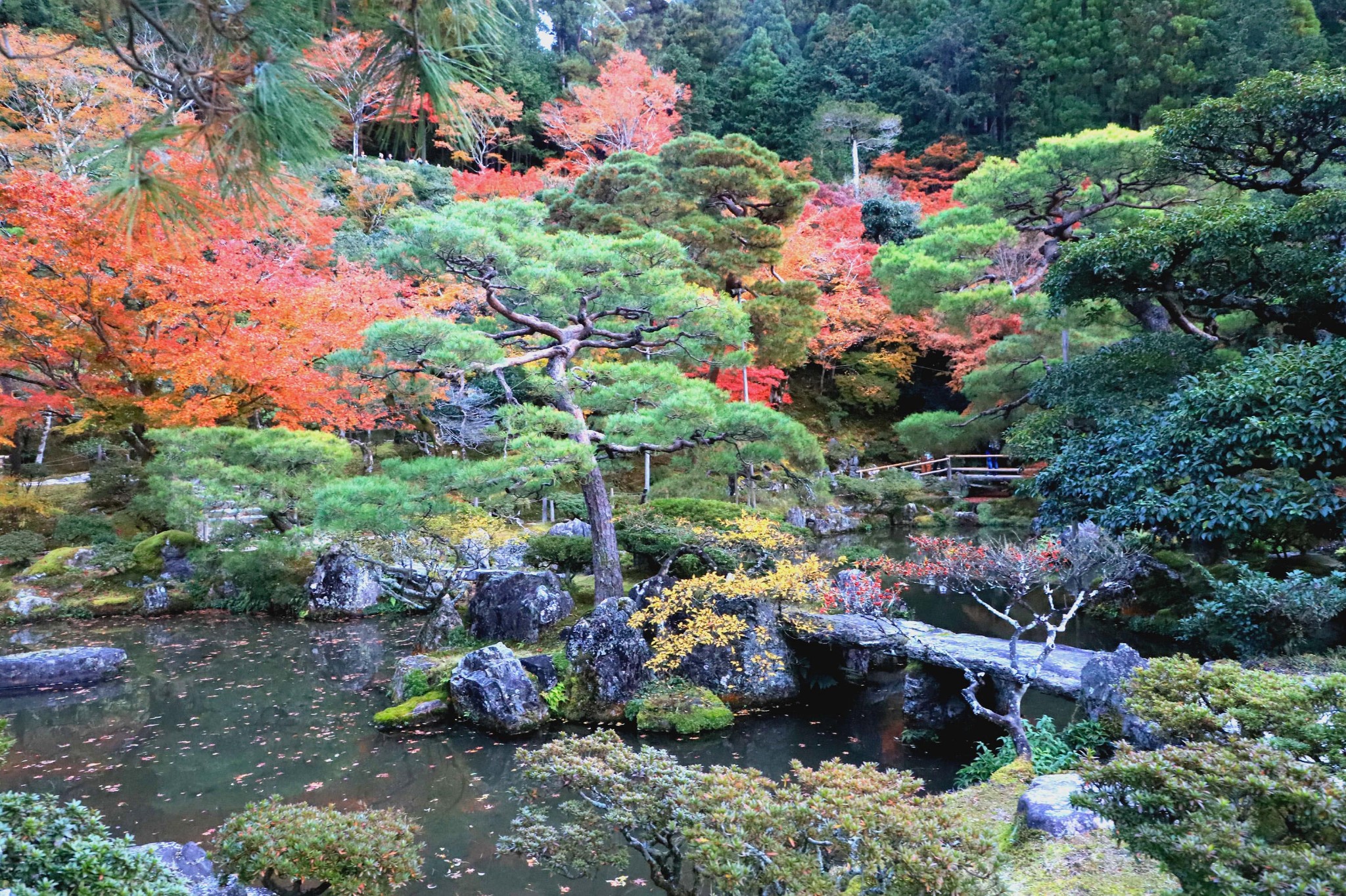 京都自助遊攻略