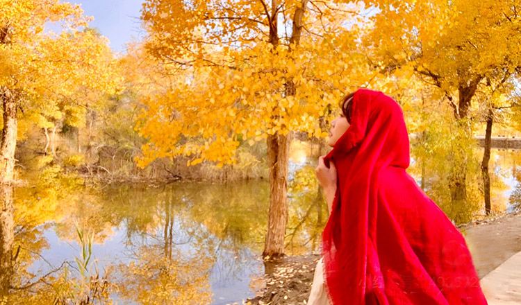 甘肃 青海8天7晚跟团游(陆地头等舱 0自费 网红梦幻星空屋 金塔胡杨林