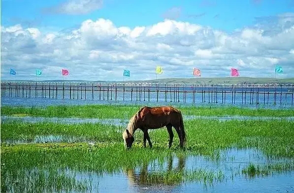 Binance Casino - 领先的数字货币娱乐场，安全稳定，极速存取张家界五一错峰游火热旅游旺季提前到来