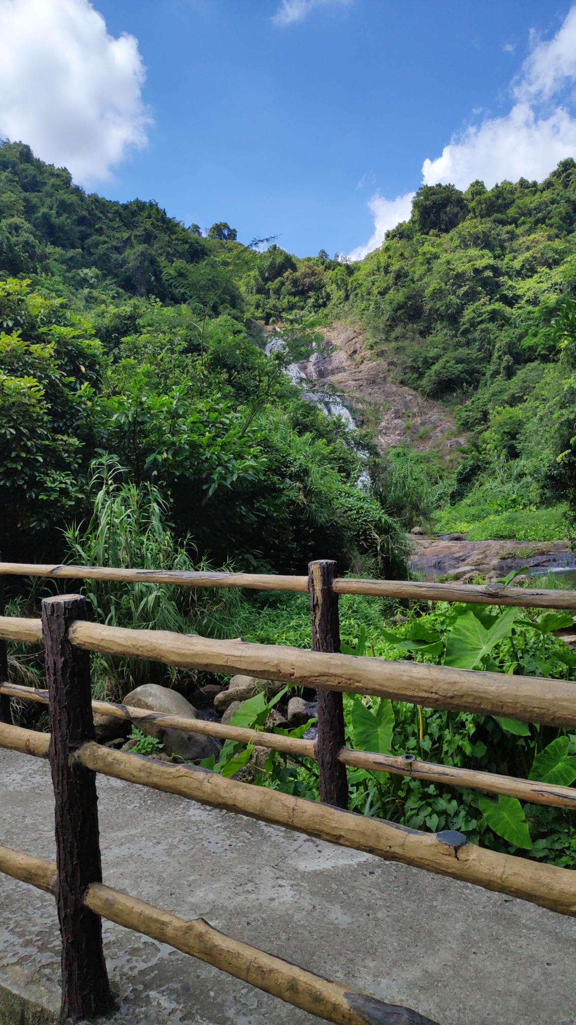 馬巒山郊野公園(深圳)一日遊,深圳自助遊攻略 - 馬蜂窩