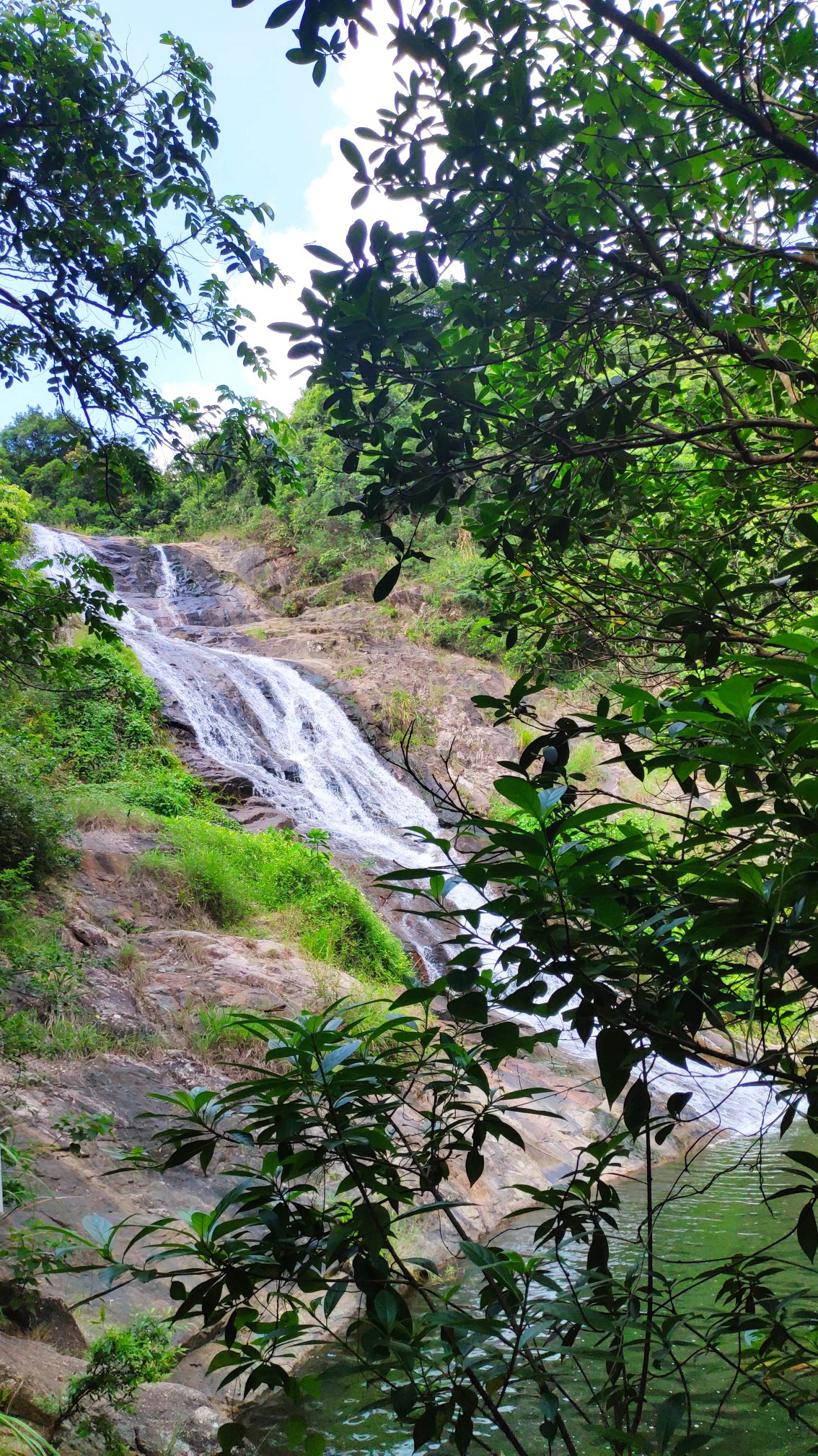 馬巒山郊野公園(深圳)一日遊,深圳自助遊攻略 - 馬蜂窩