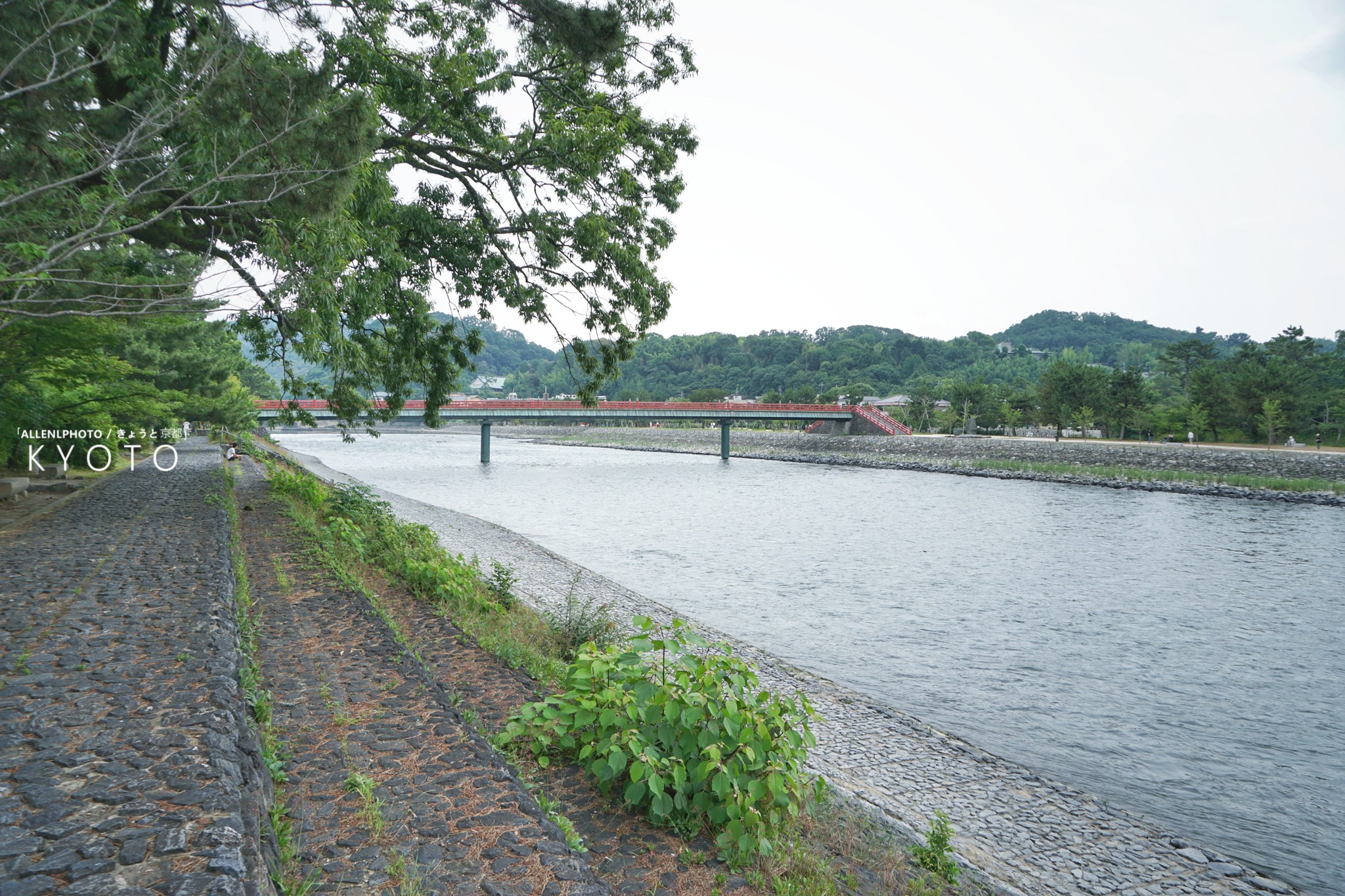 京都自助遊攻略