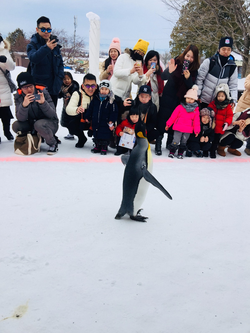 札幌自助遊攻略