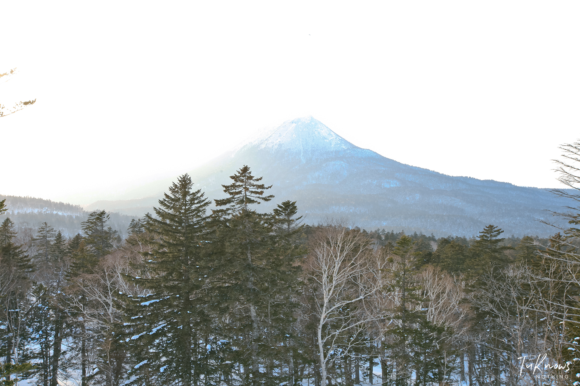 北海道自助遊攻略