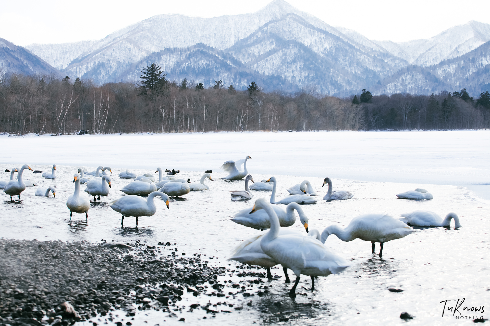 北海道自助遊攻略