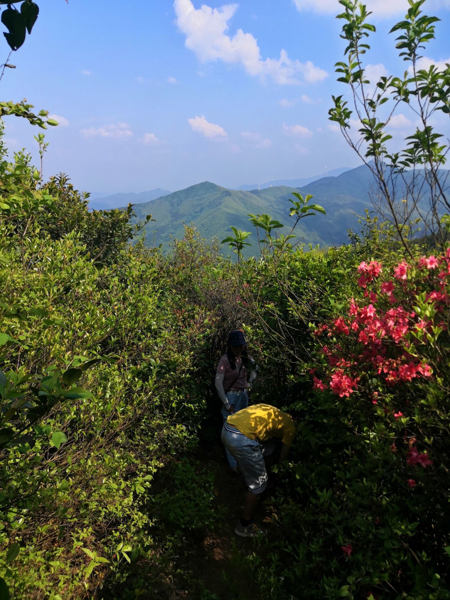 丰城升华山风景区门票图片