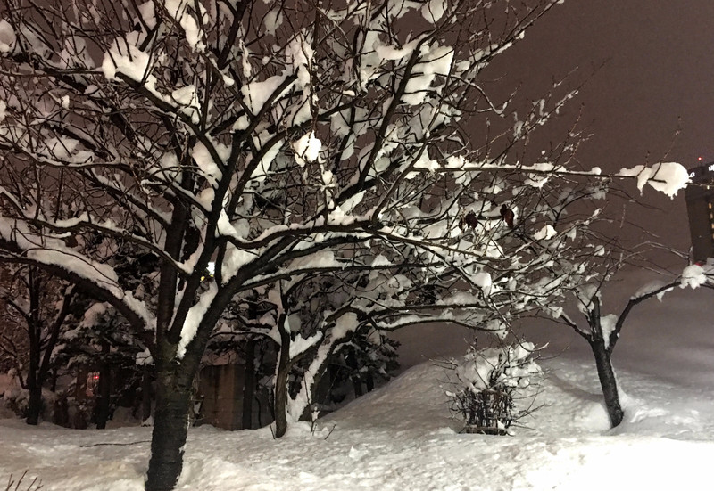 札幌自助遊攻略