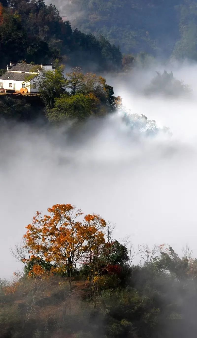 长城脚下坐望山图片