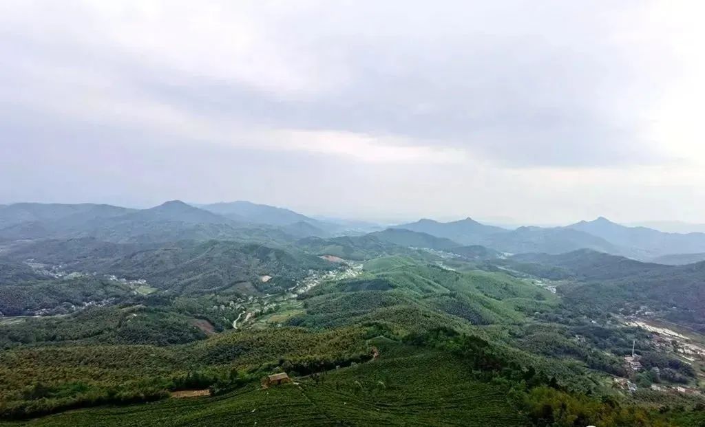 庐江的这个村庄邀你探竹寻觅