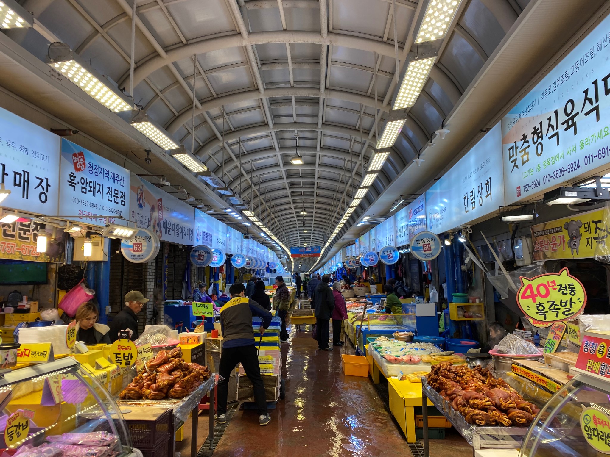 濟州島自助遊攻略