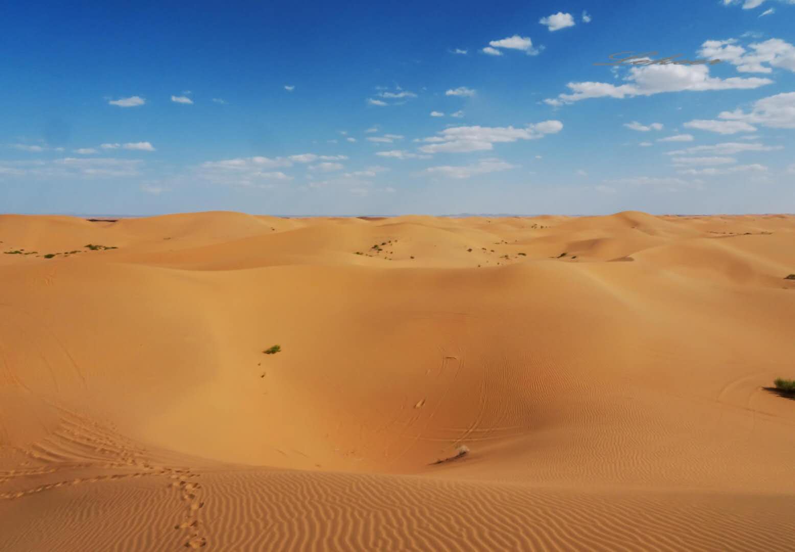 网红中卫腾格里沙漠小众沙漠旅行打卡地