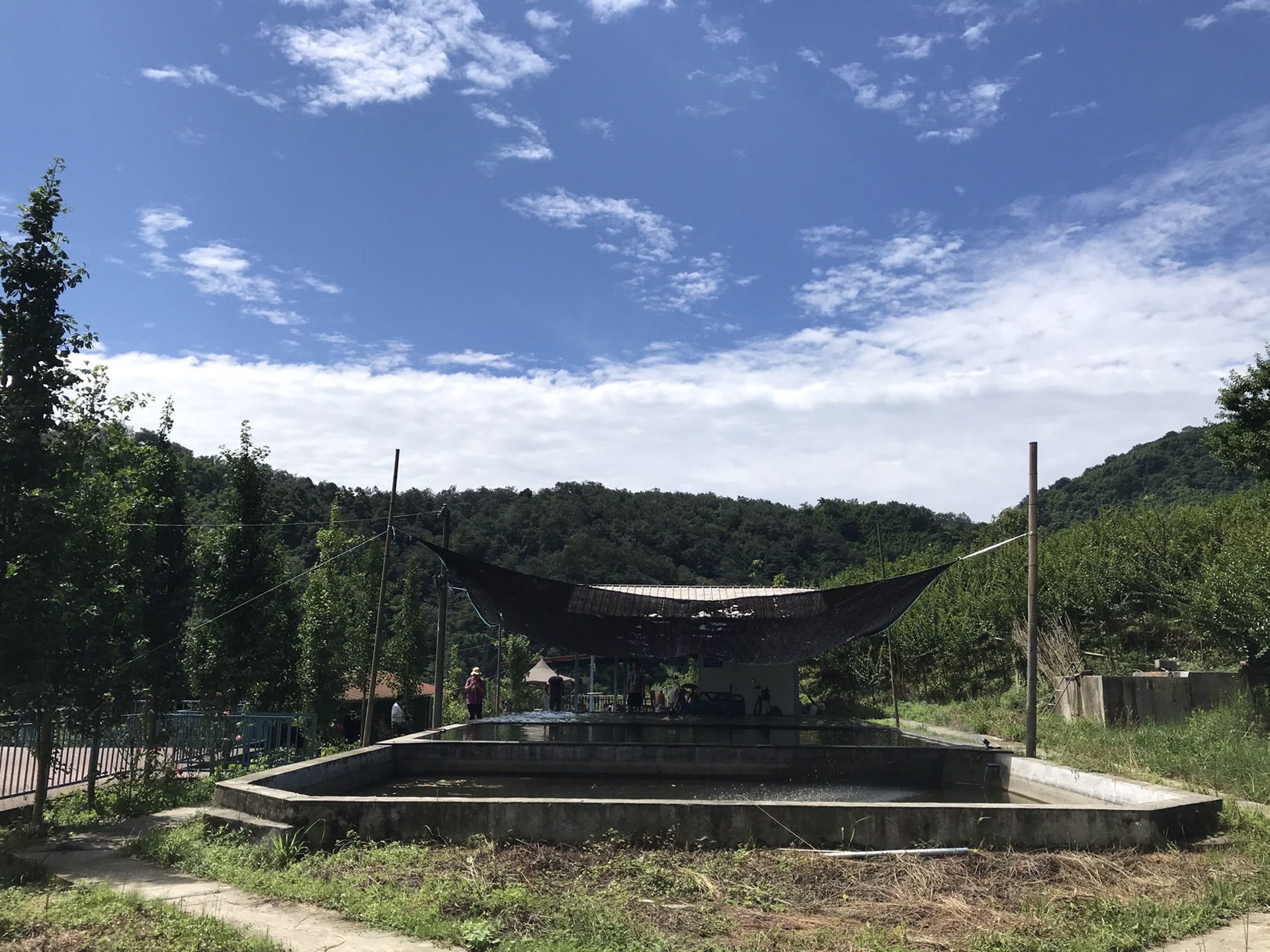 柒月麓山徙步记