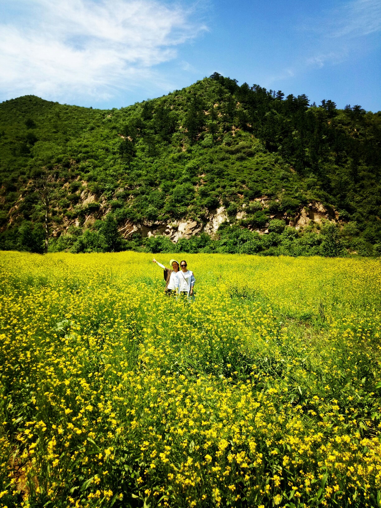 2020-7-19河北涿鹿北靈山,涿鹿旅遊攻略 - 馬蜂窩