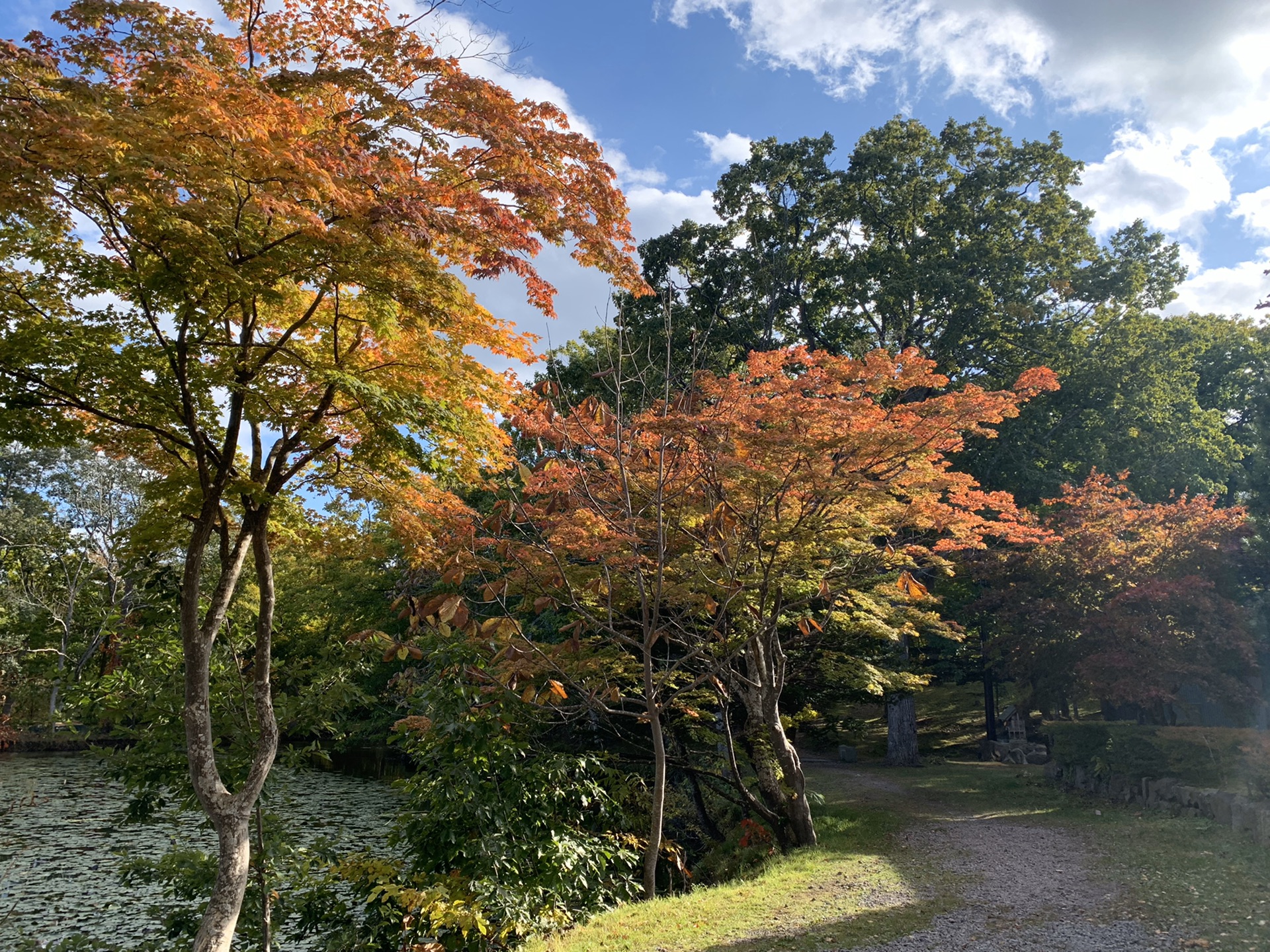 北海道自助遊攻略