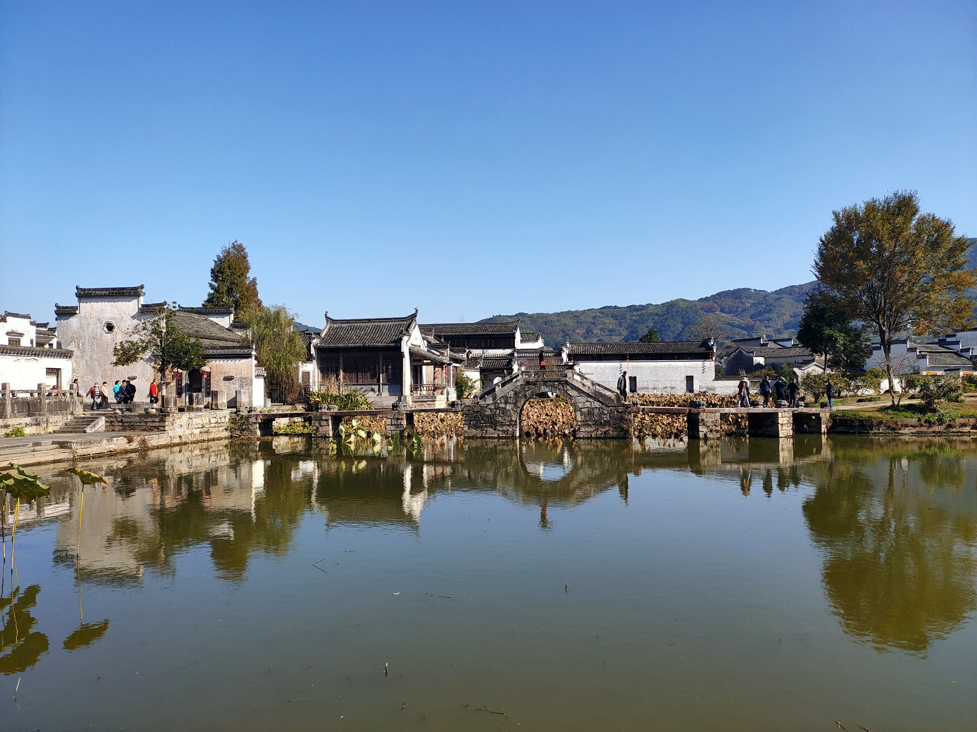 黃山呈貢宏村塔川五日遊