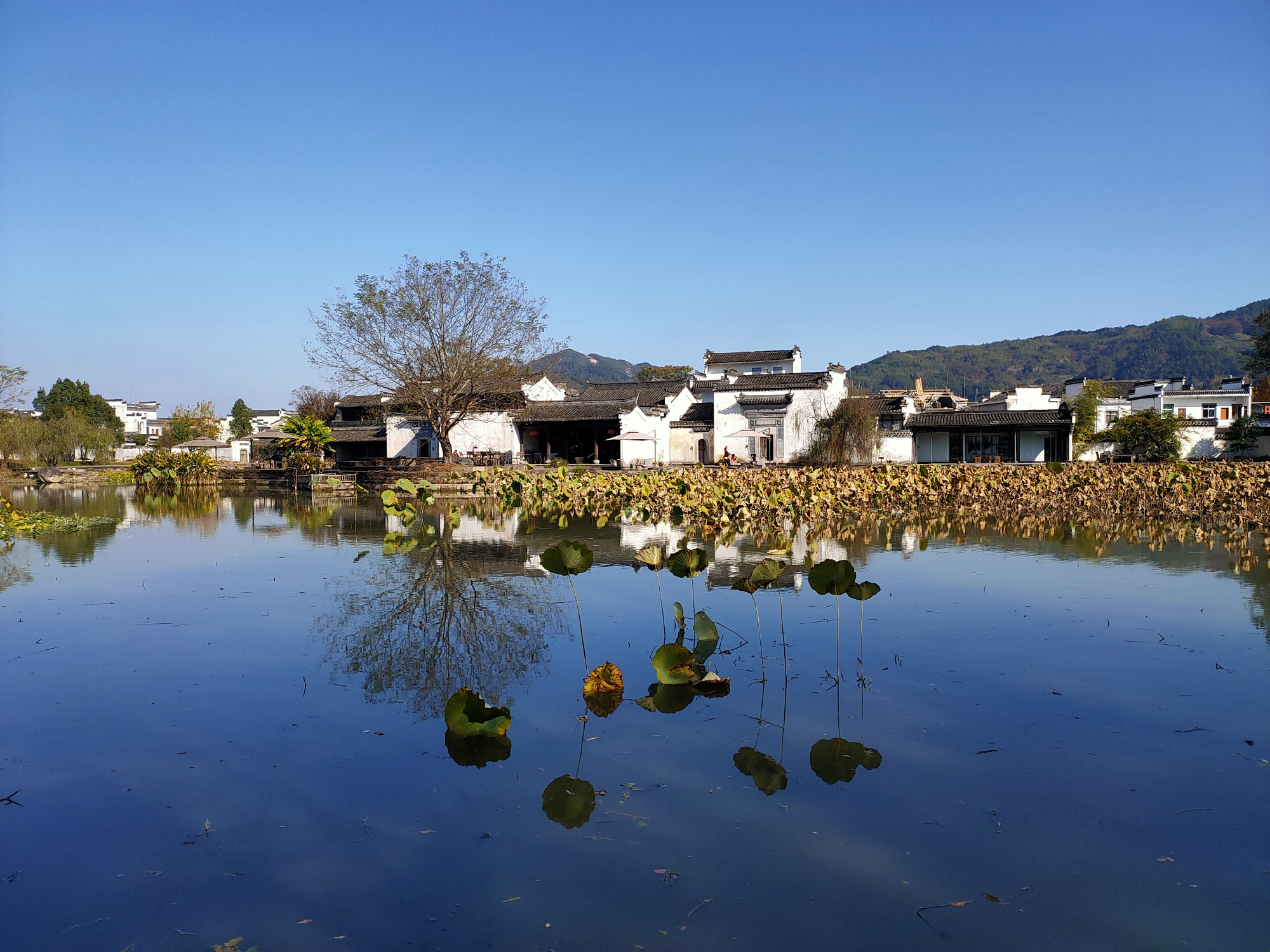 黃山呈貢宏村塔川五日遊