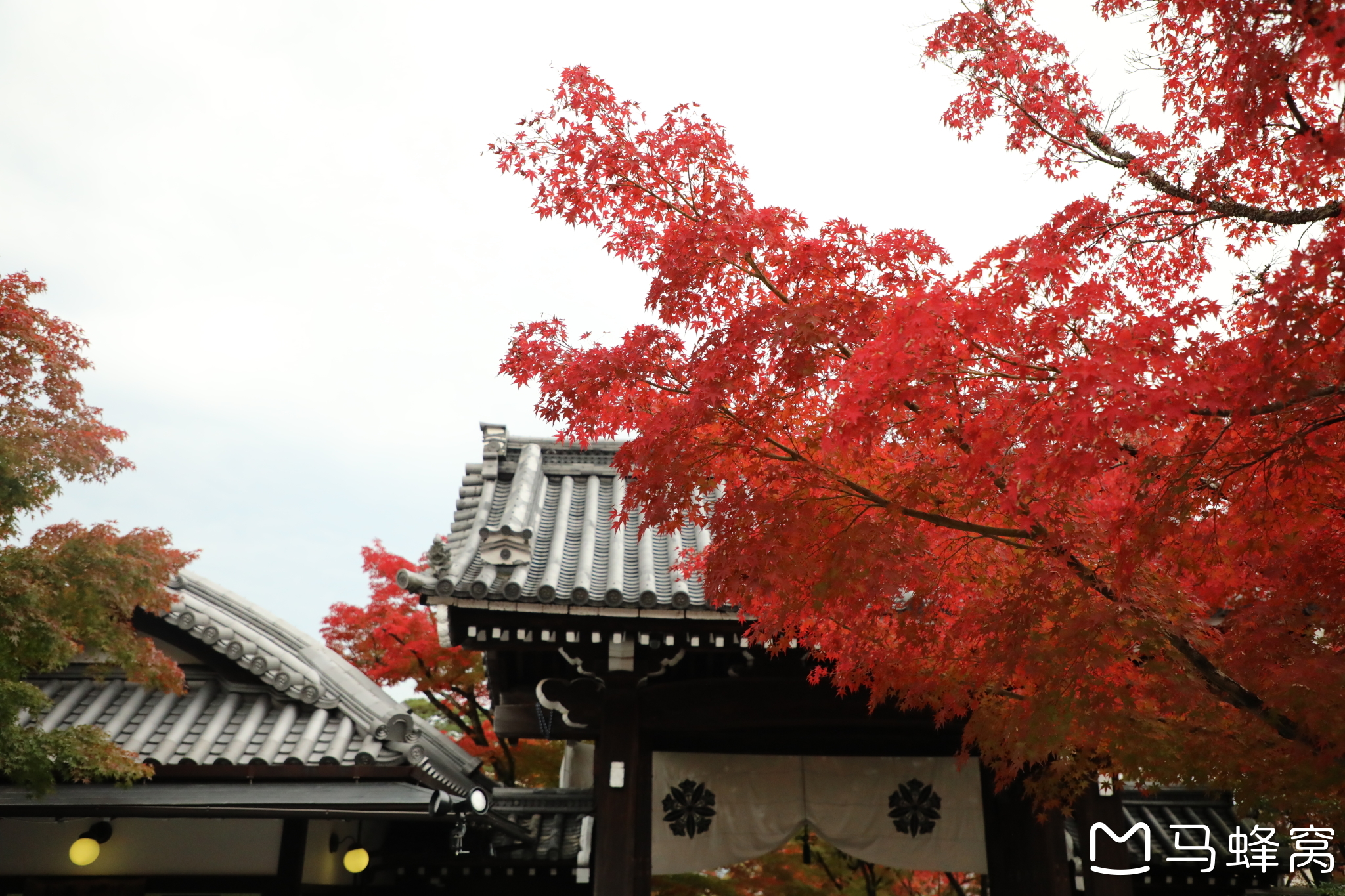 京都自助遊攻略