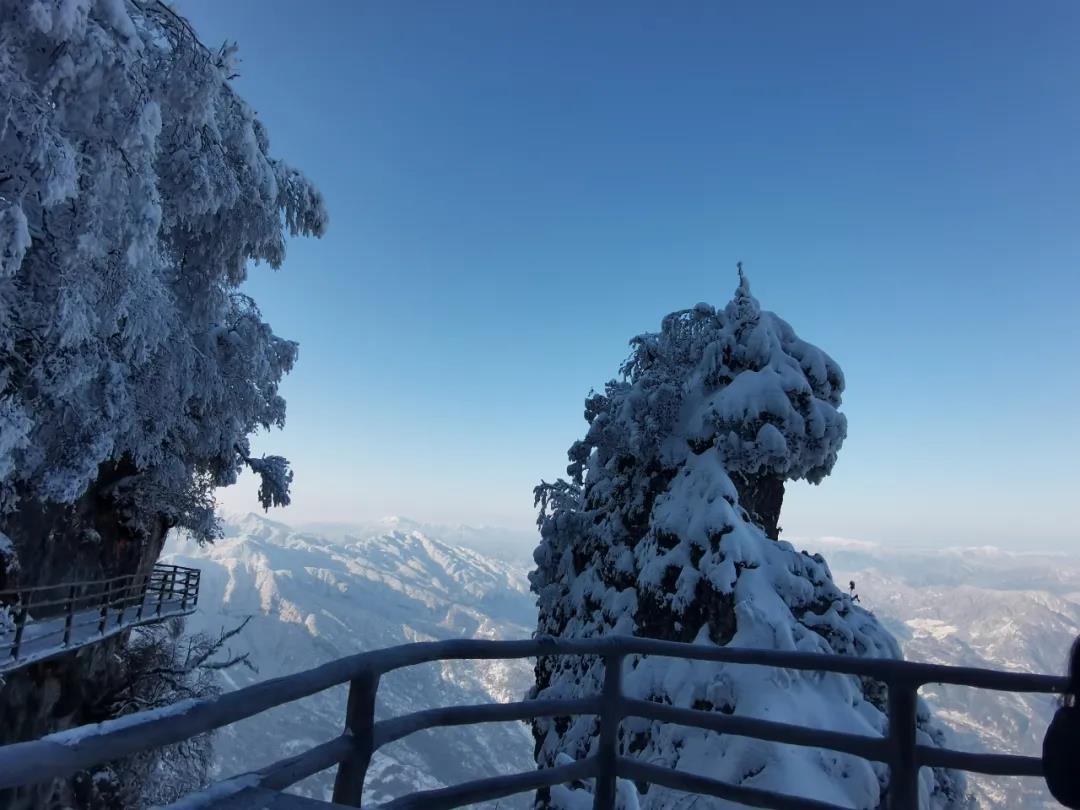 漢中龍頭山風景區大門票往返索道擺渡車雲梯