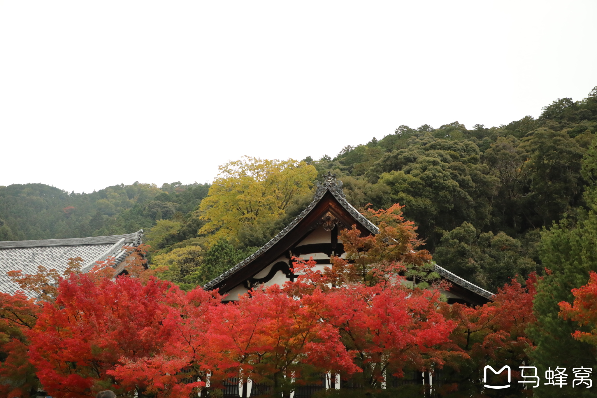 京都自助遊攻略