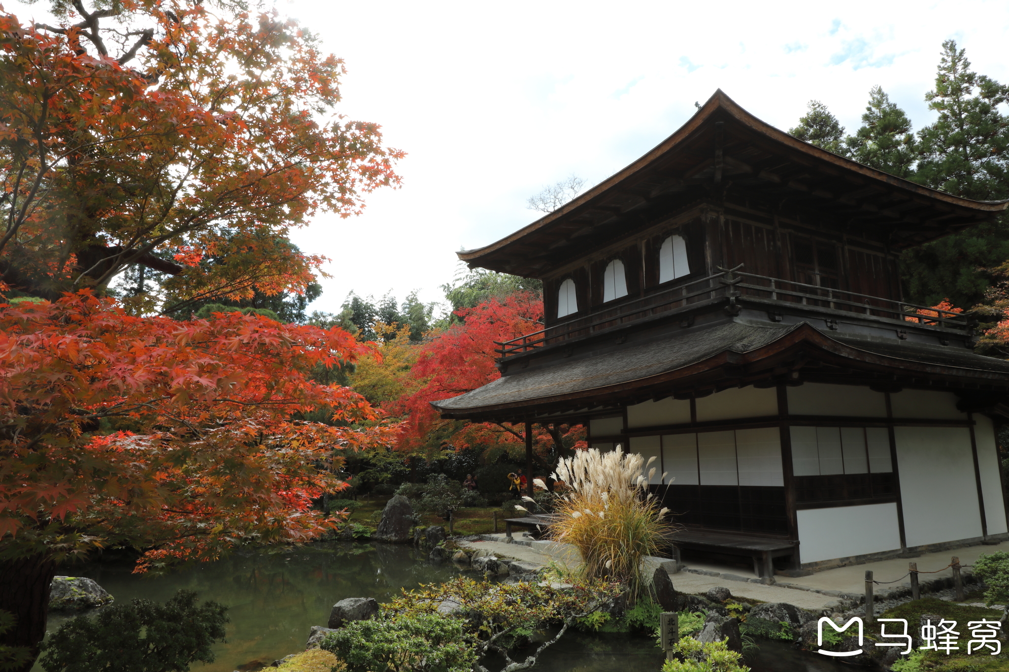 京都自助遊攻略