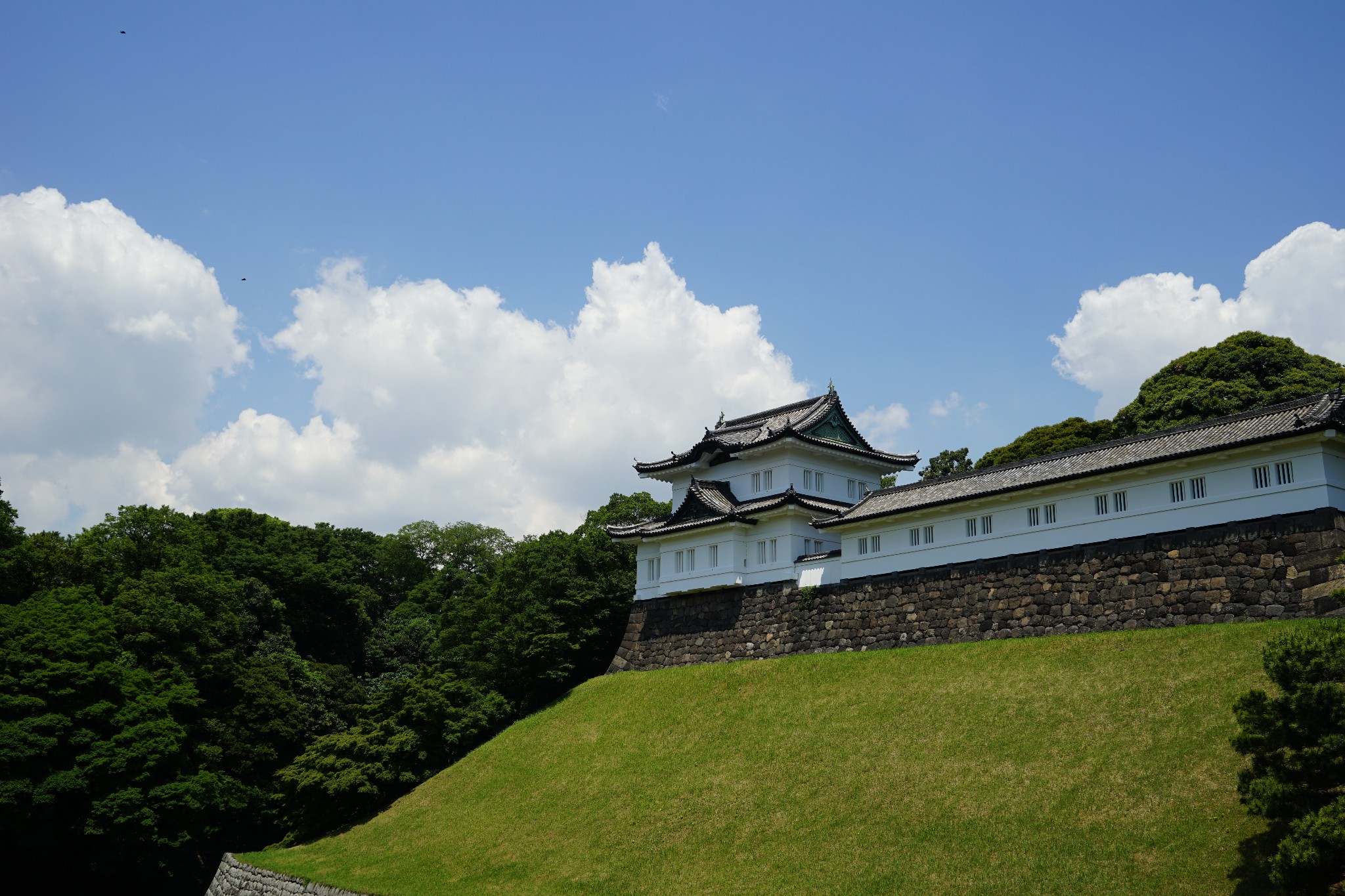 令和元月遊關東鎌倉富士山河口湖東京自由行