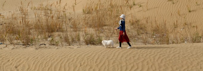 【西行日记|十月浪漫】:走过青海——走过翡翠色的世界(图37) 【西行日记|十月浪漫】:走过青海——走过翡翠色的世界(图37)