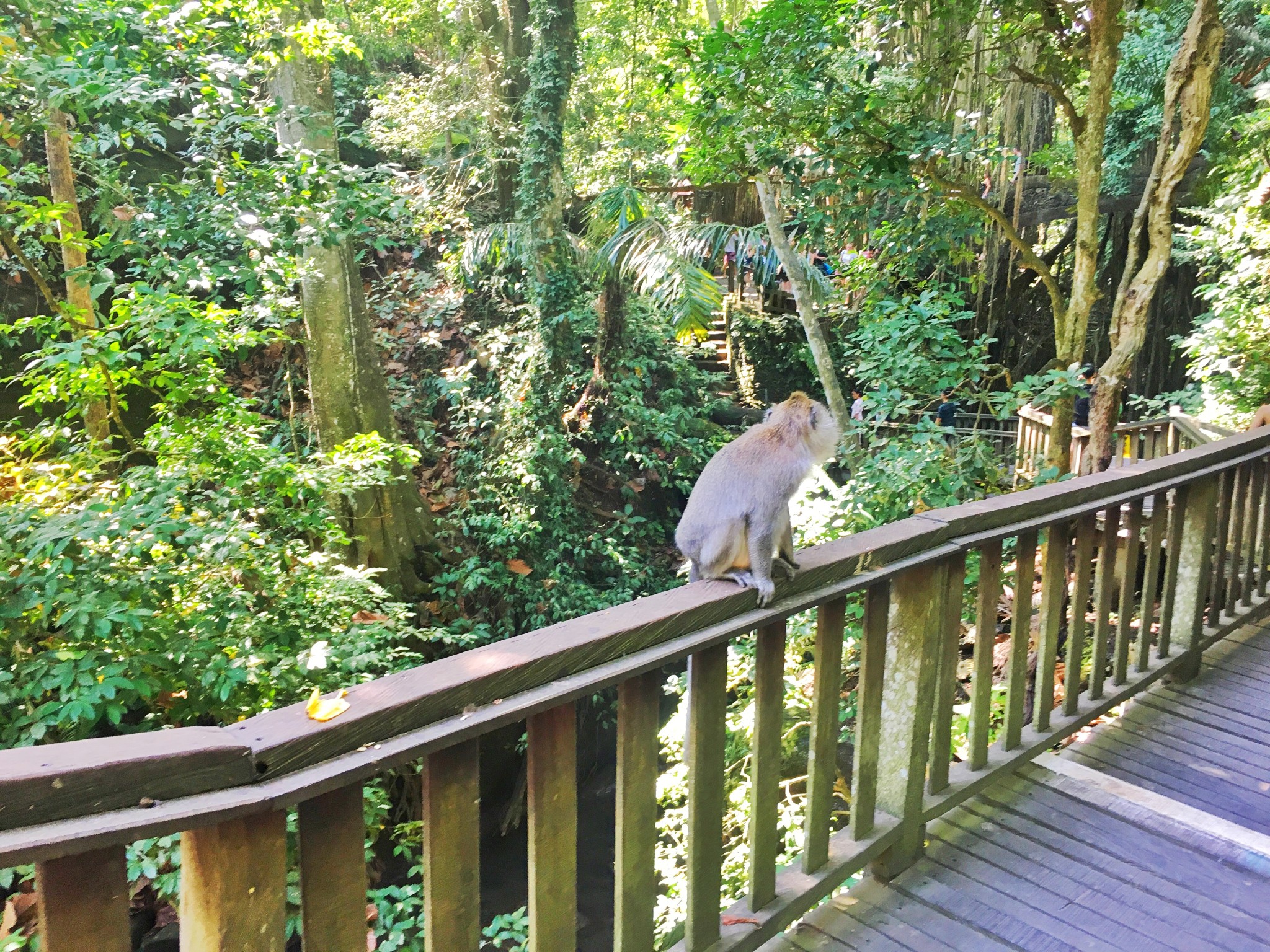 巴釐島自助遊攻略