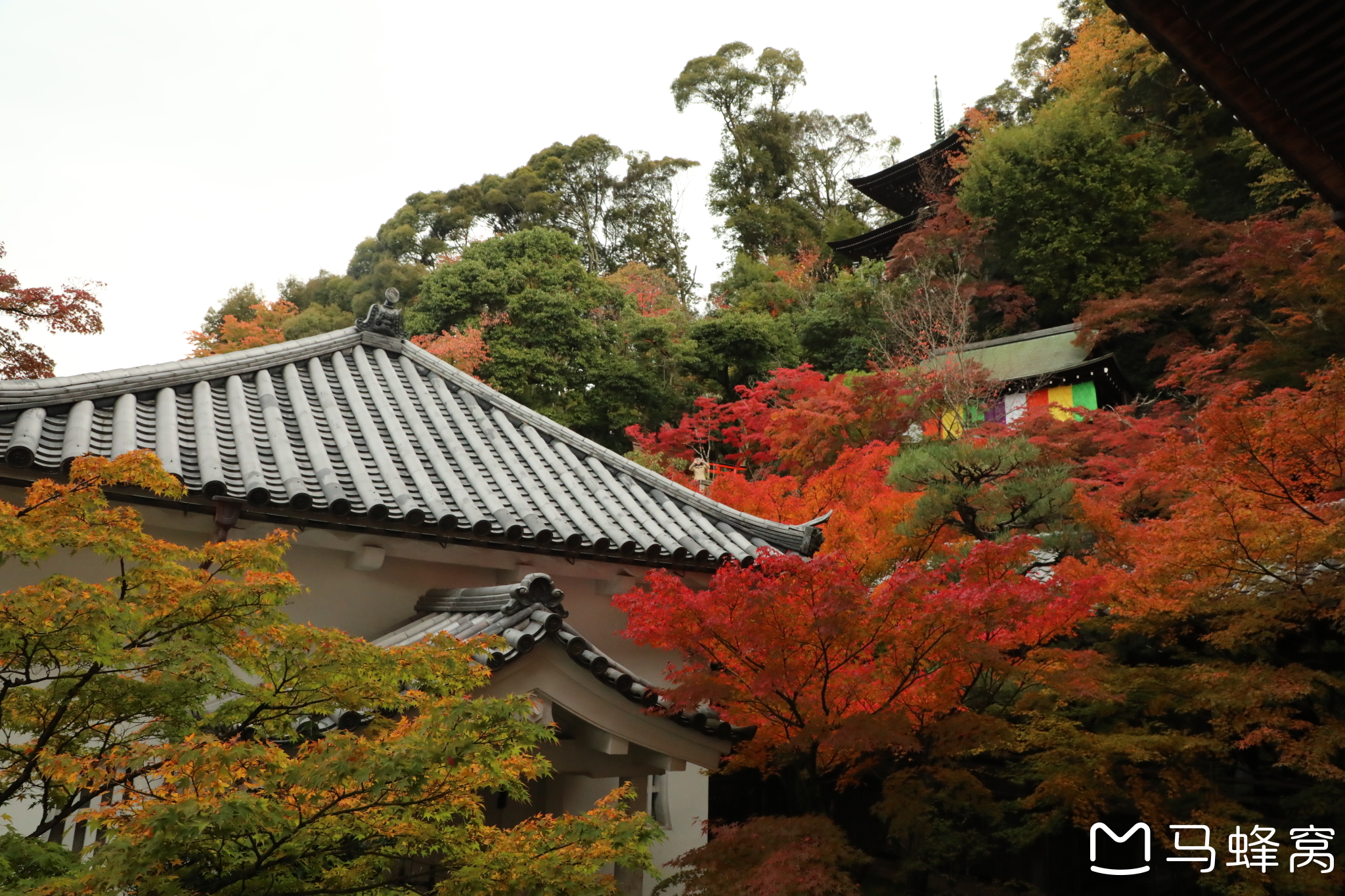 京都自助遊攻略