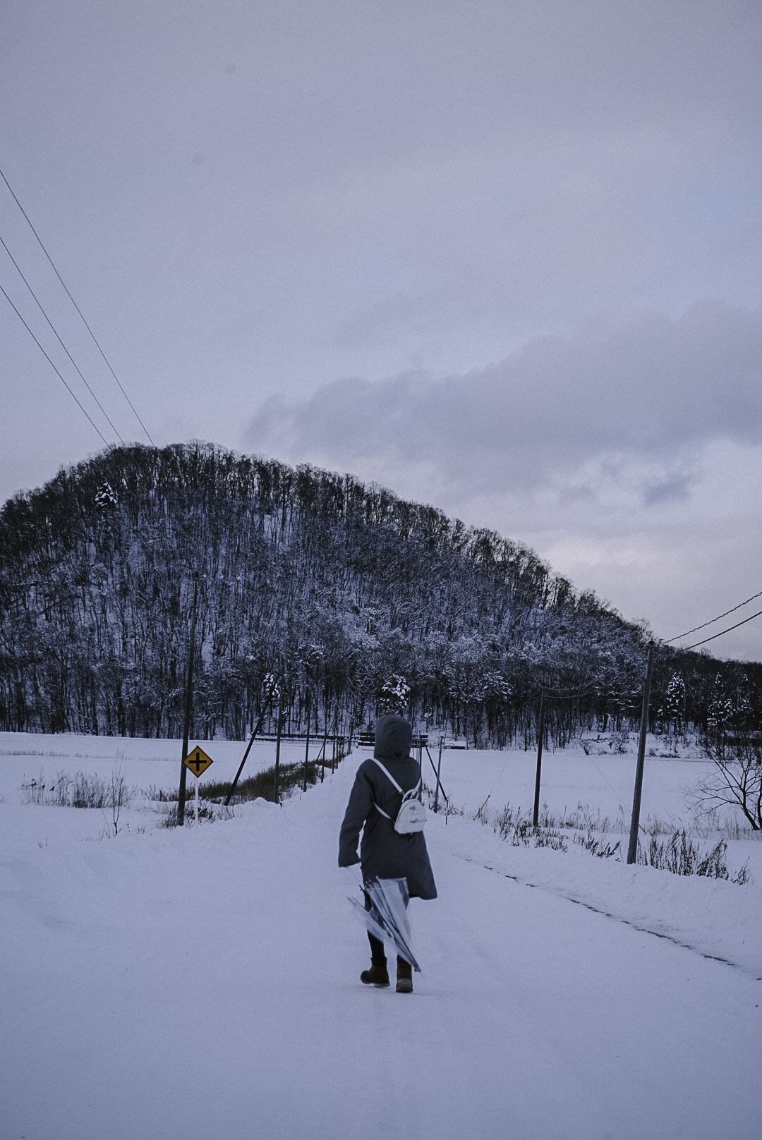 北海道自助遊攻略