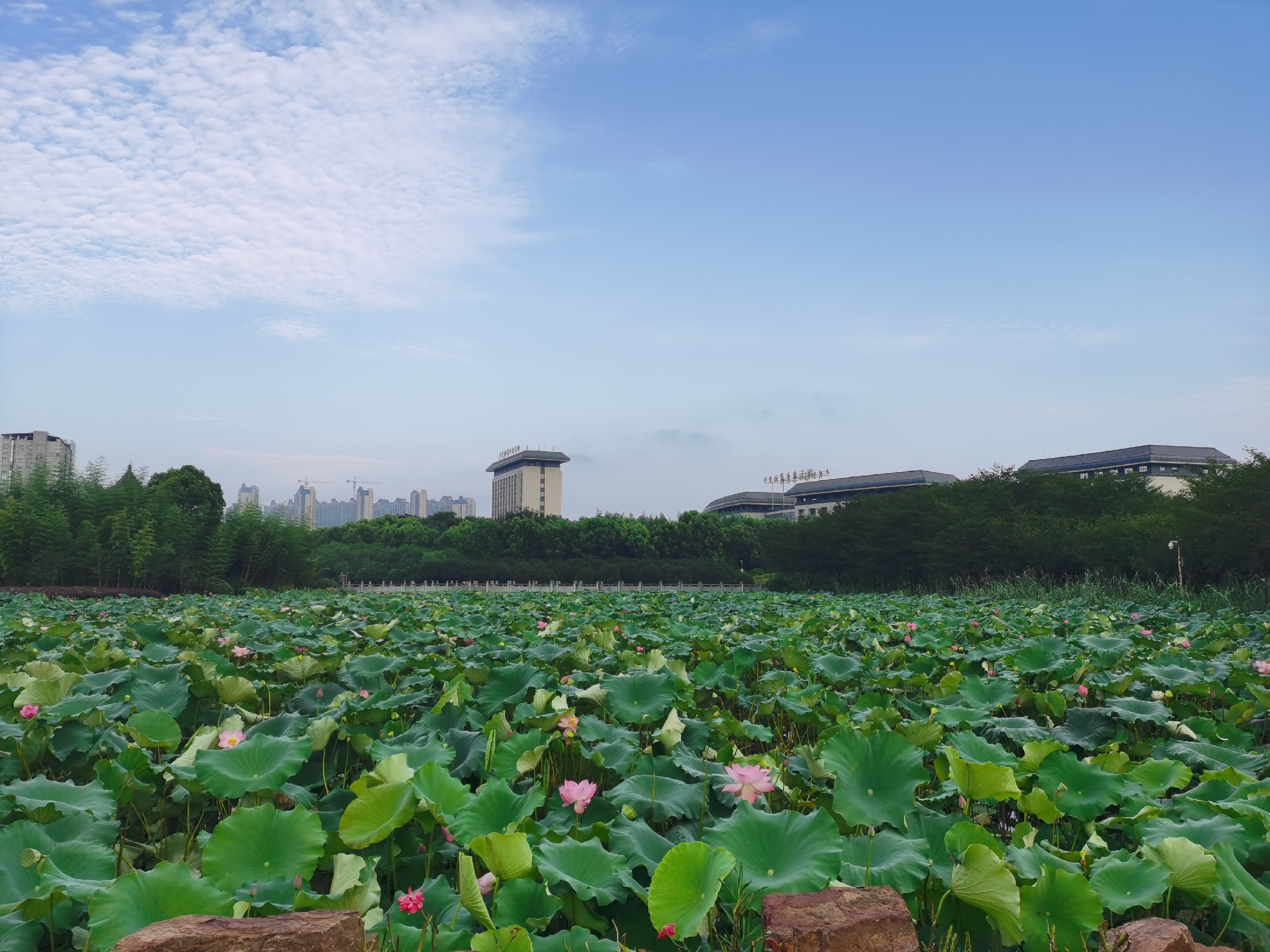 中共铜陵市委党校