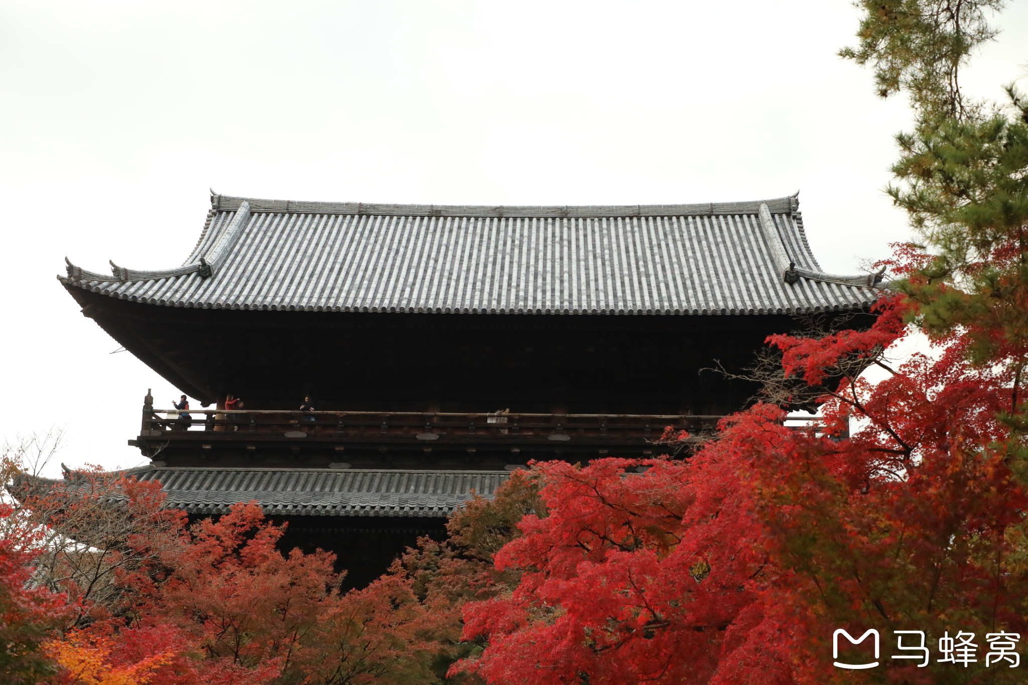 京都自助遊攻略