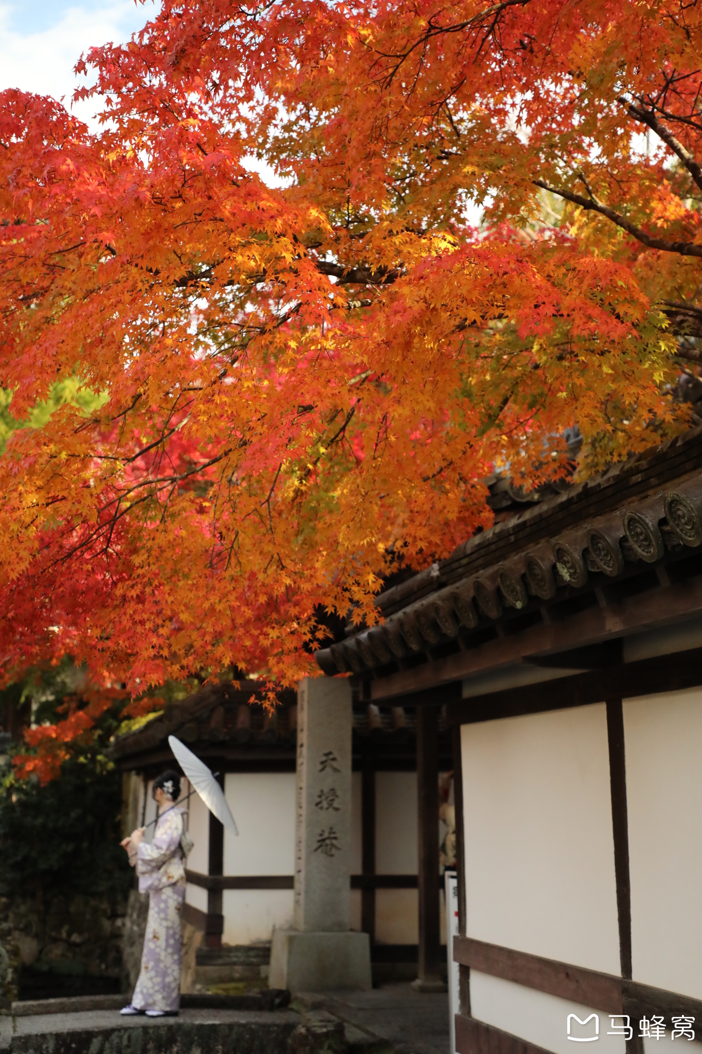 京都自助遊攻略