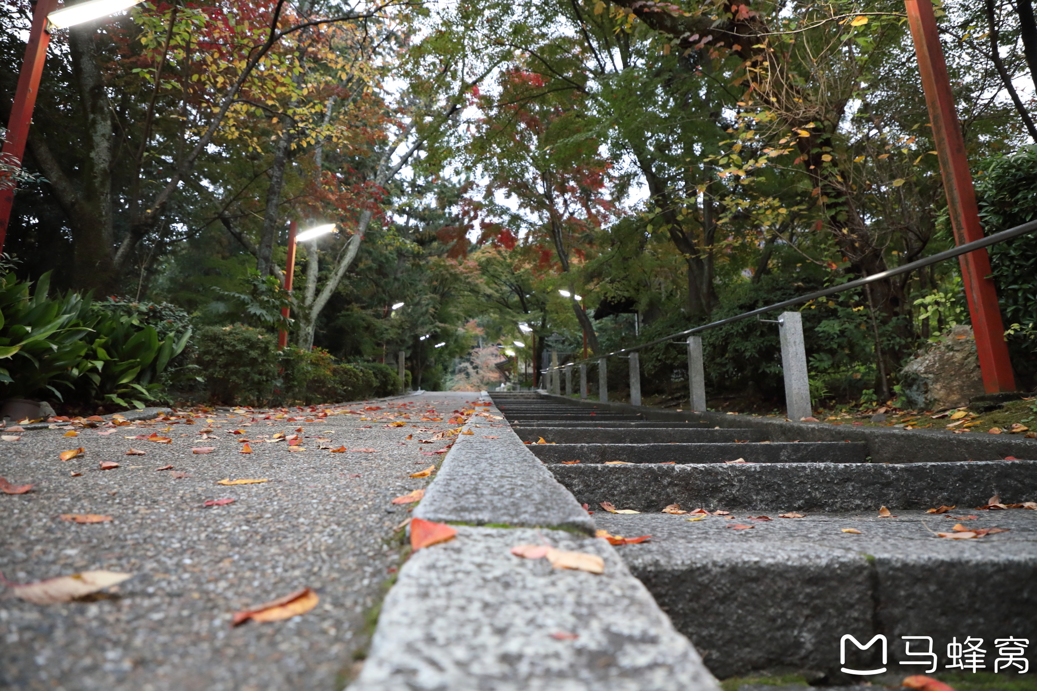 京都自助遊攻略