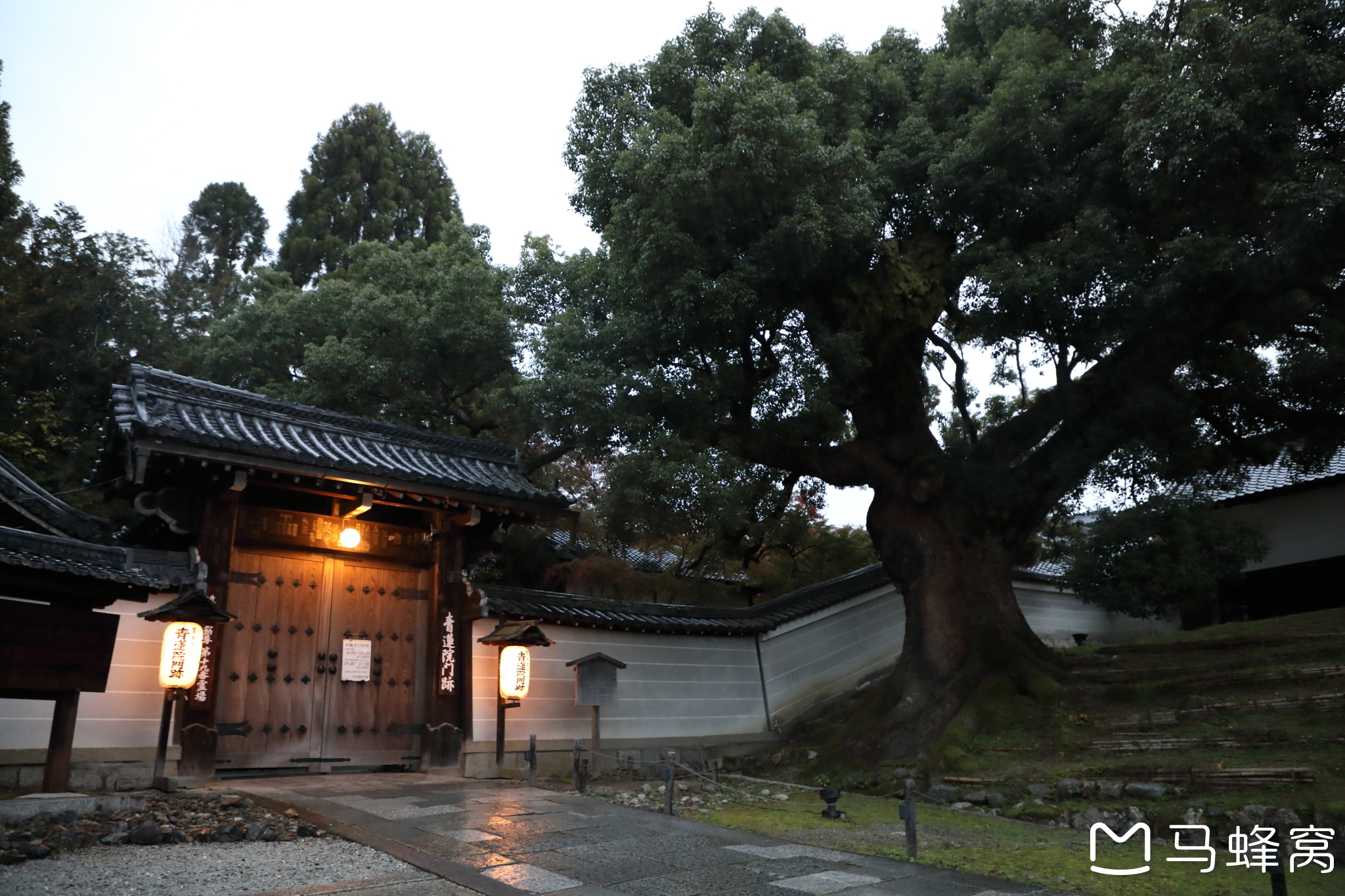 京都自助遊攻略