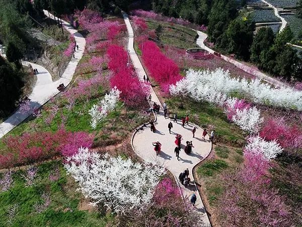 叮~来自苍溪黄猫垭的一份游玩攻略!快收藏!