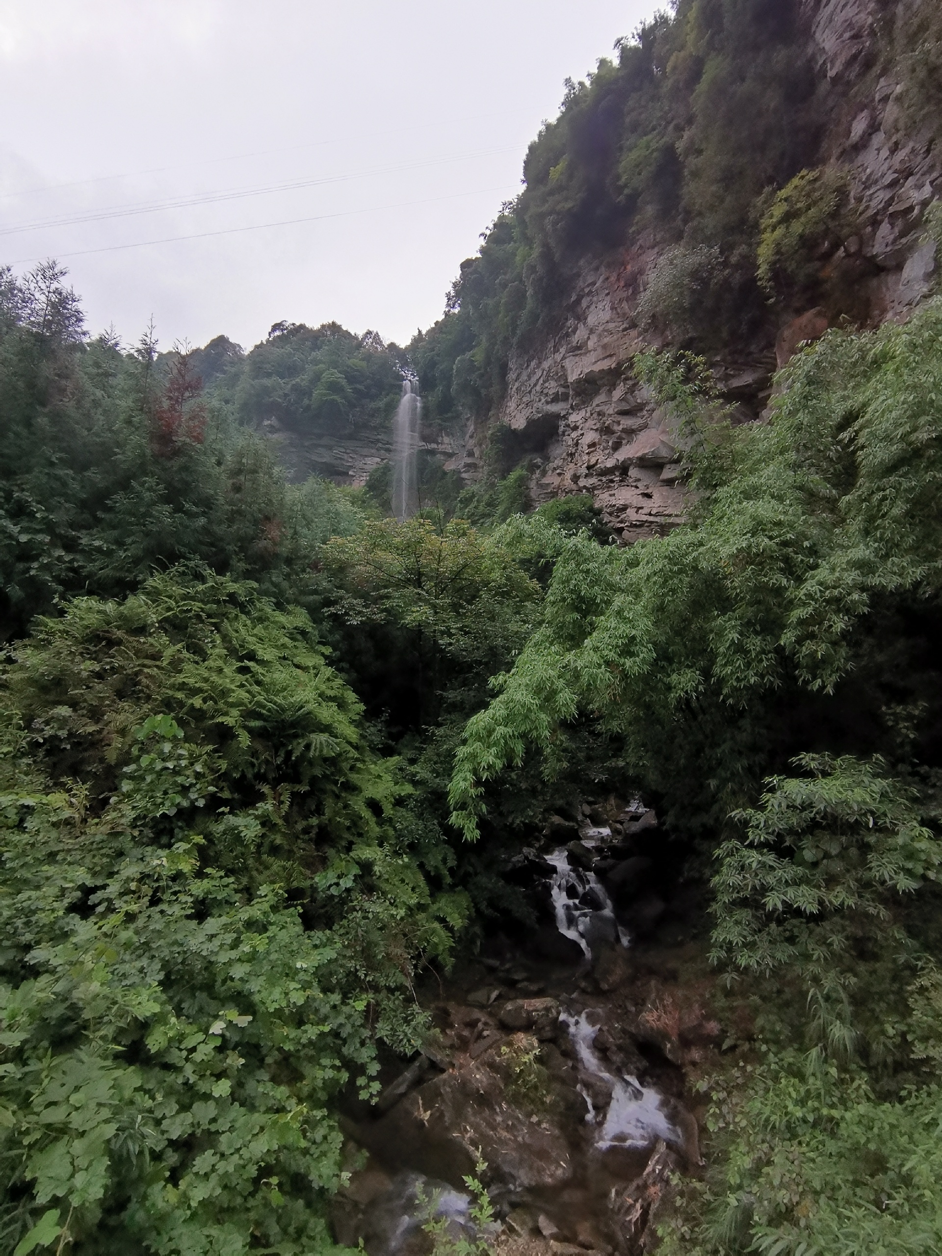 沐川黑熊谷森林公园攻略,黑熊谷森林公园门票_地址,黑熊谷森林公园