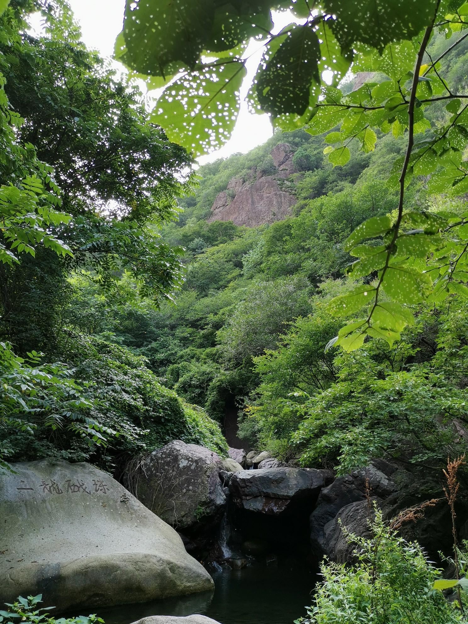 妞眼看世界之雲岫谷遊獵,密雲旅遊攻略 - 馬蜂窩