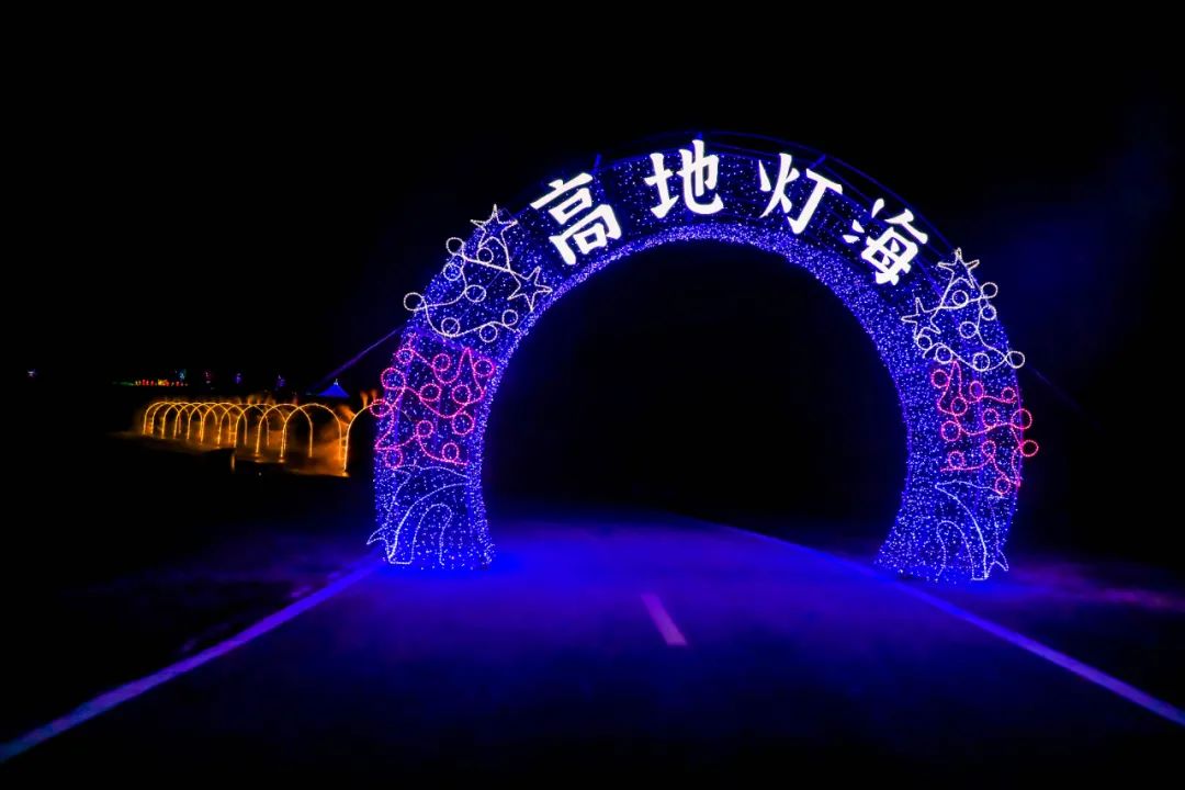 三瓜公社高地灯海来打卡