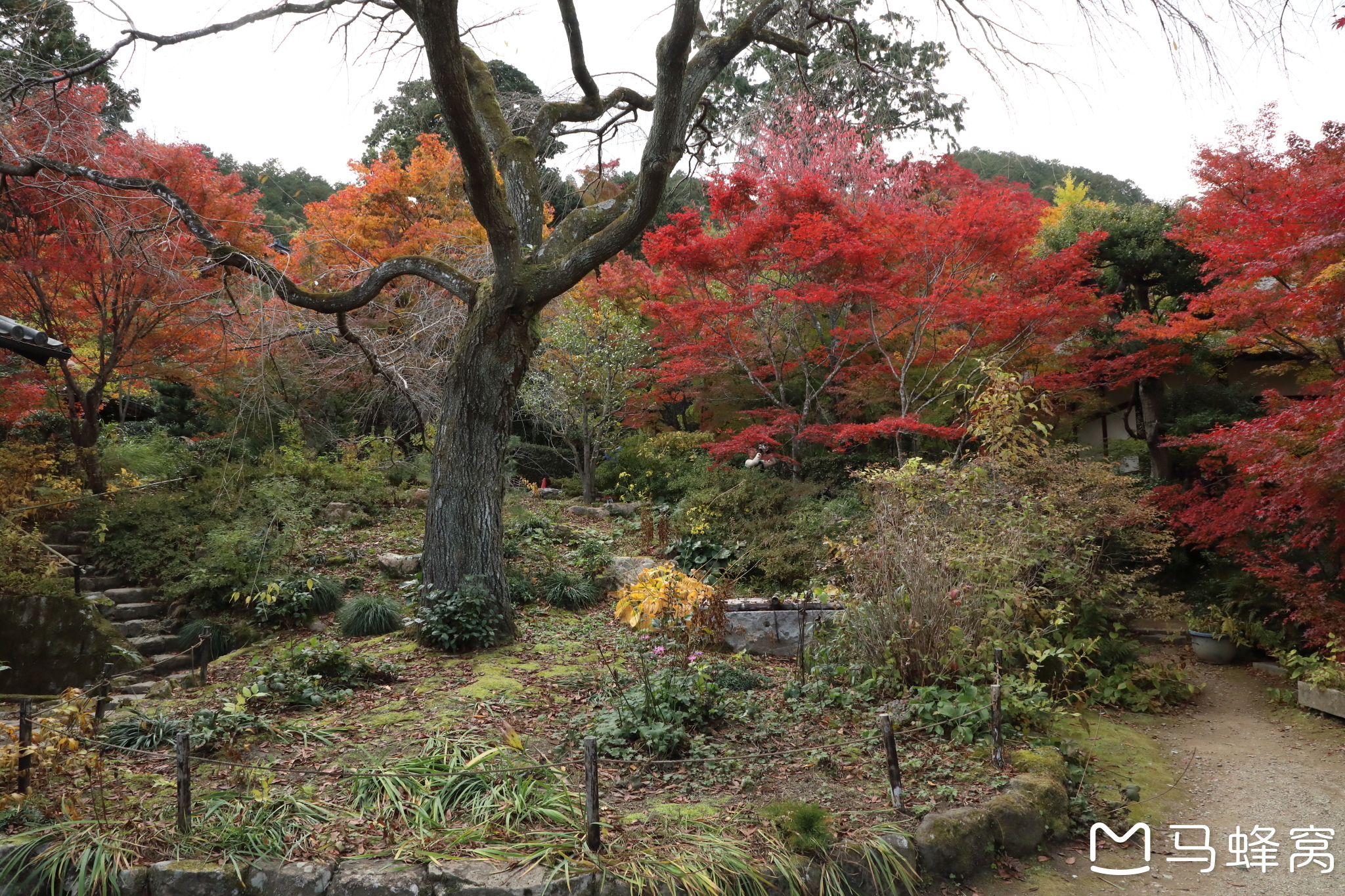 京都自助遊攻略