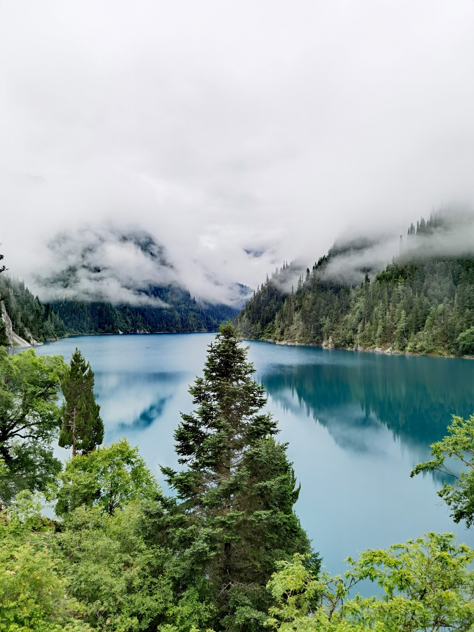 疫情后的12天完美游记武汉重庆贵州九寨沟