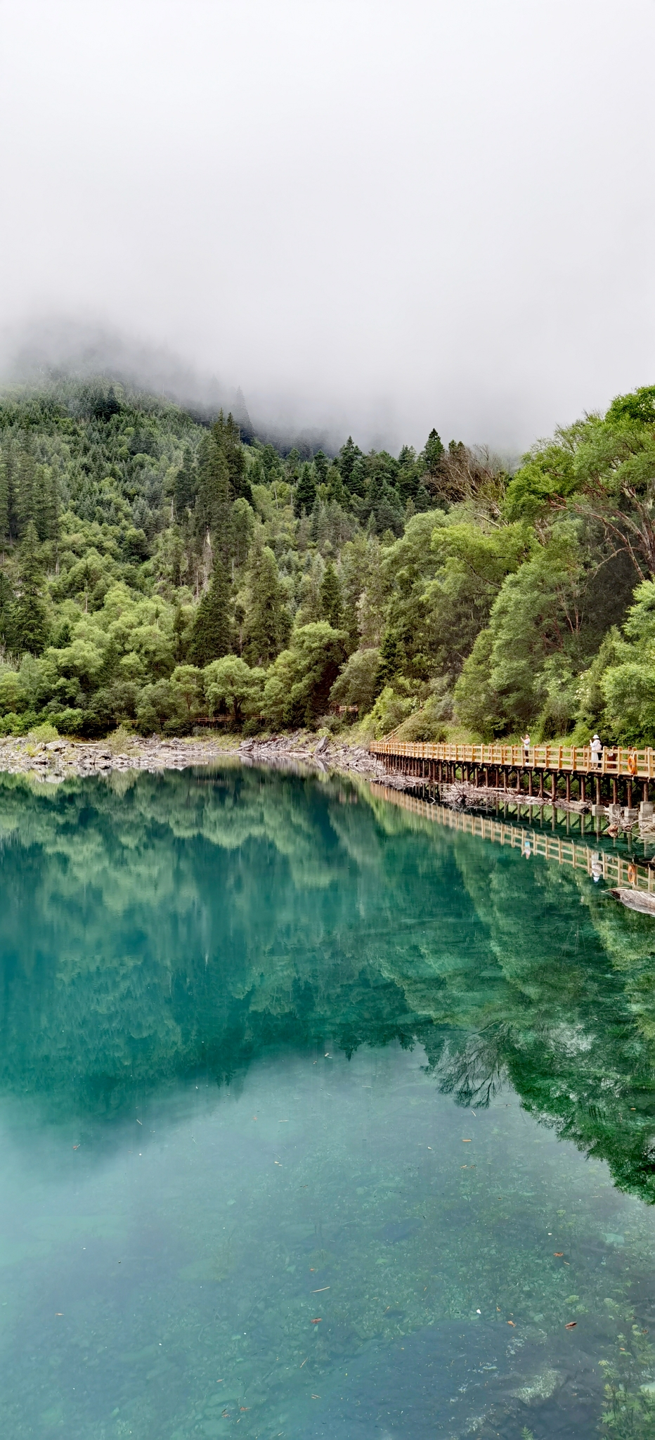 疫情后的12天完美游记武汉重庆贵州九寨沟