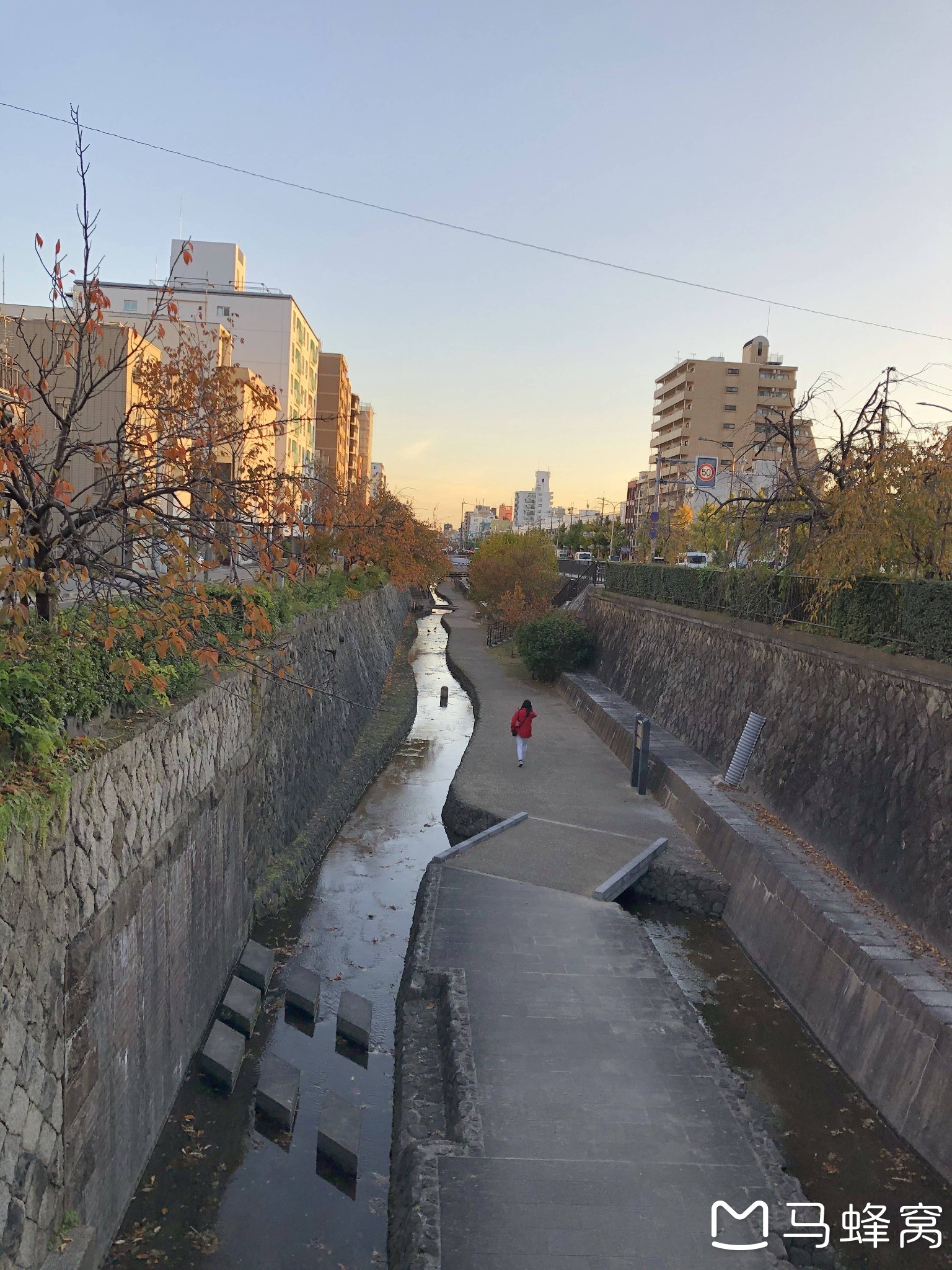 京都自助遊攻略